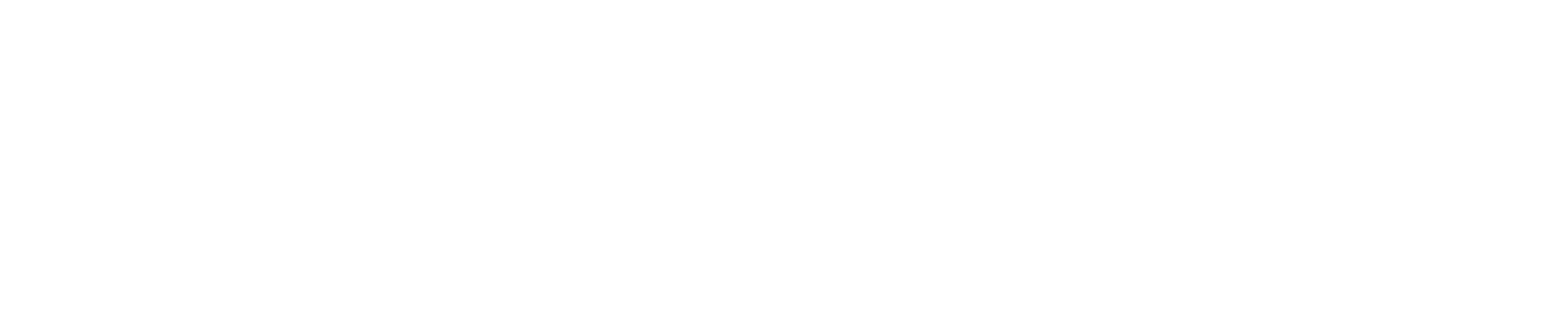 Europa Coaches Brussels